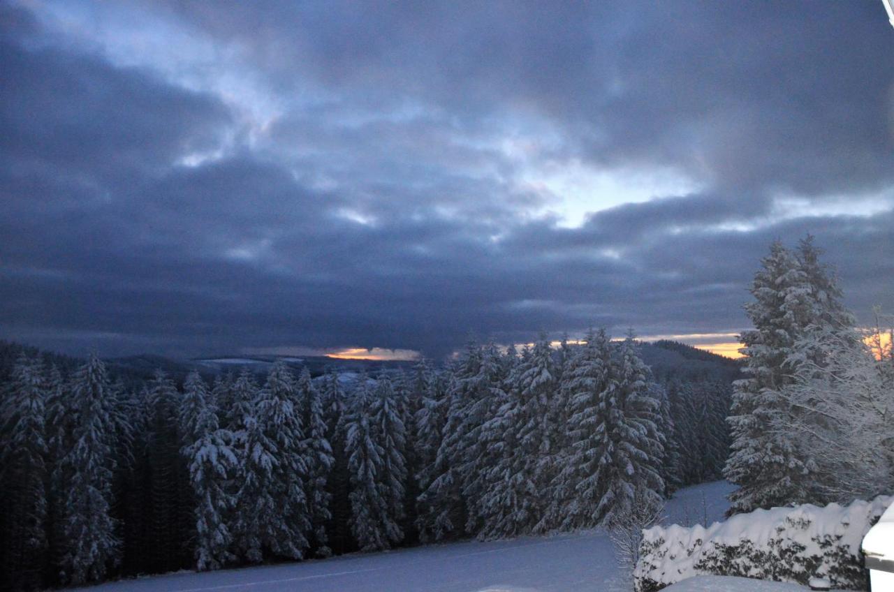 Berghotel Lenneplaetze Winterberg Extérieur photo