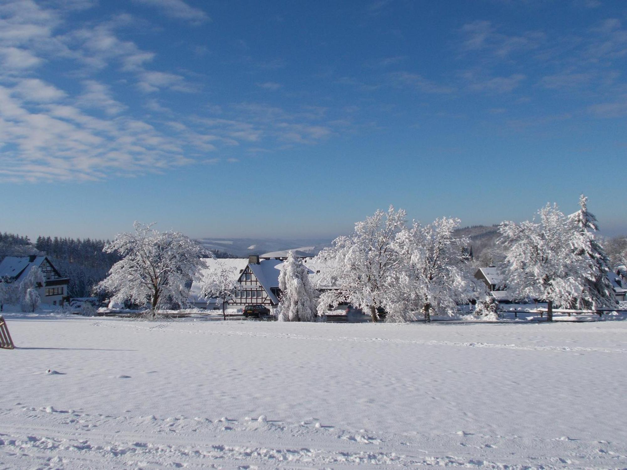 Berghotel Lenneplaetze Winterberg Extérieur photo